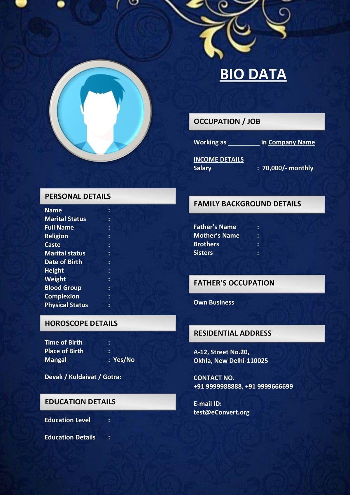 Bio Template with Academic & Job History for Marriage