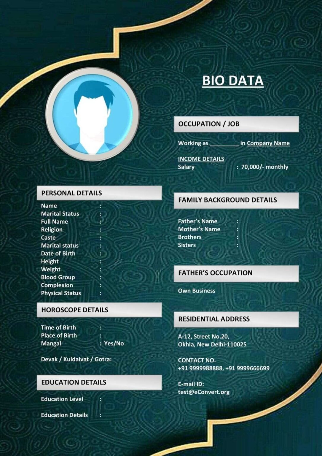 Bio Template with Profile Summary Section for Marriage (Download in Word)