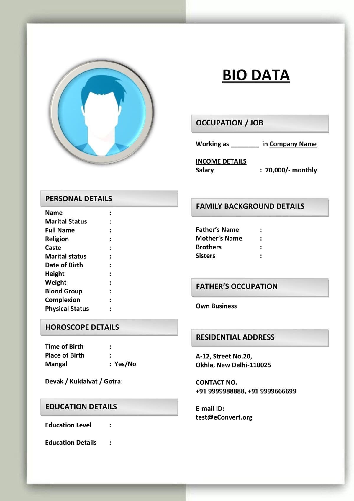 Biodata Template for Girls in Arts Stream