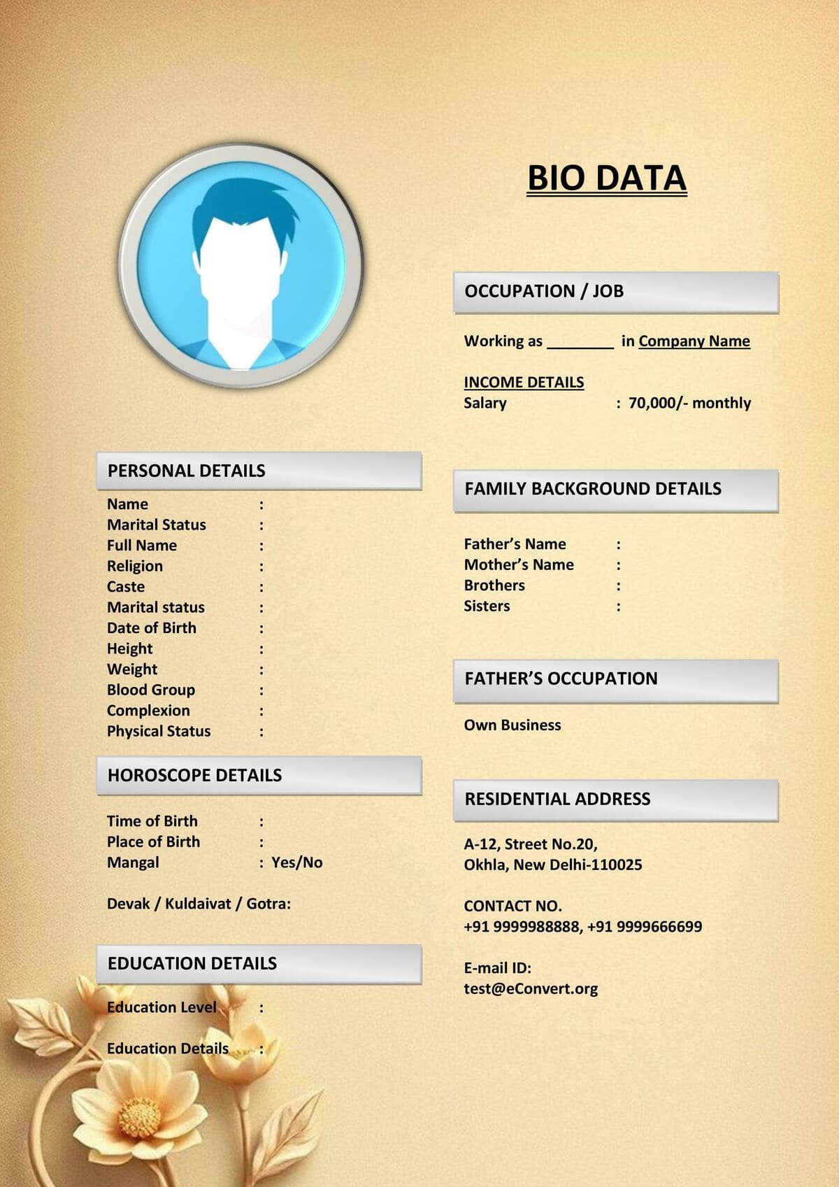 Bride Resume for Marriage with Core Values Section