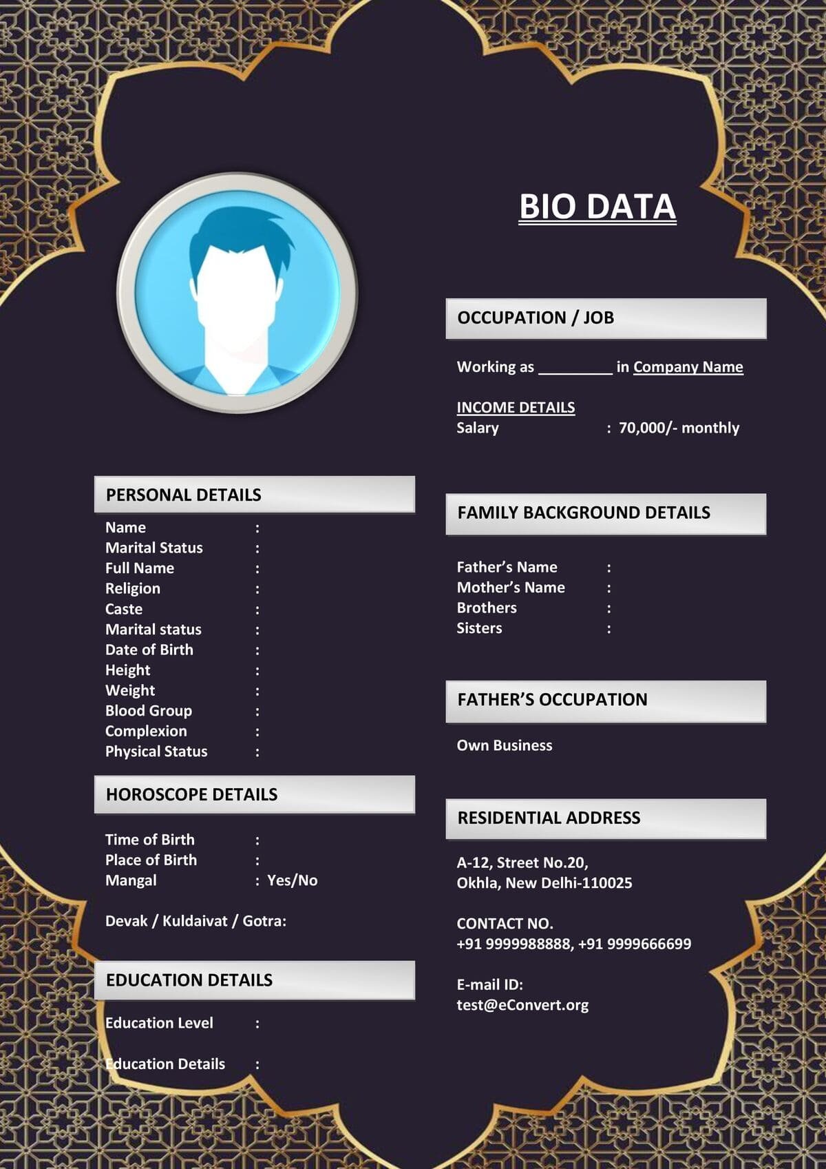 Creative Bride Resume Format for Designers for Marriage
