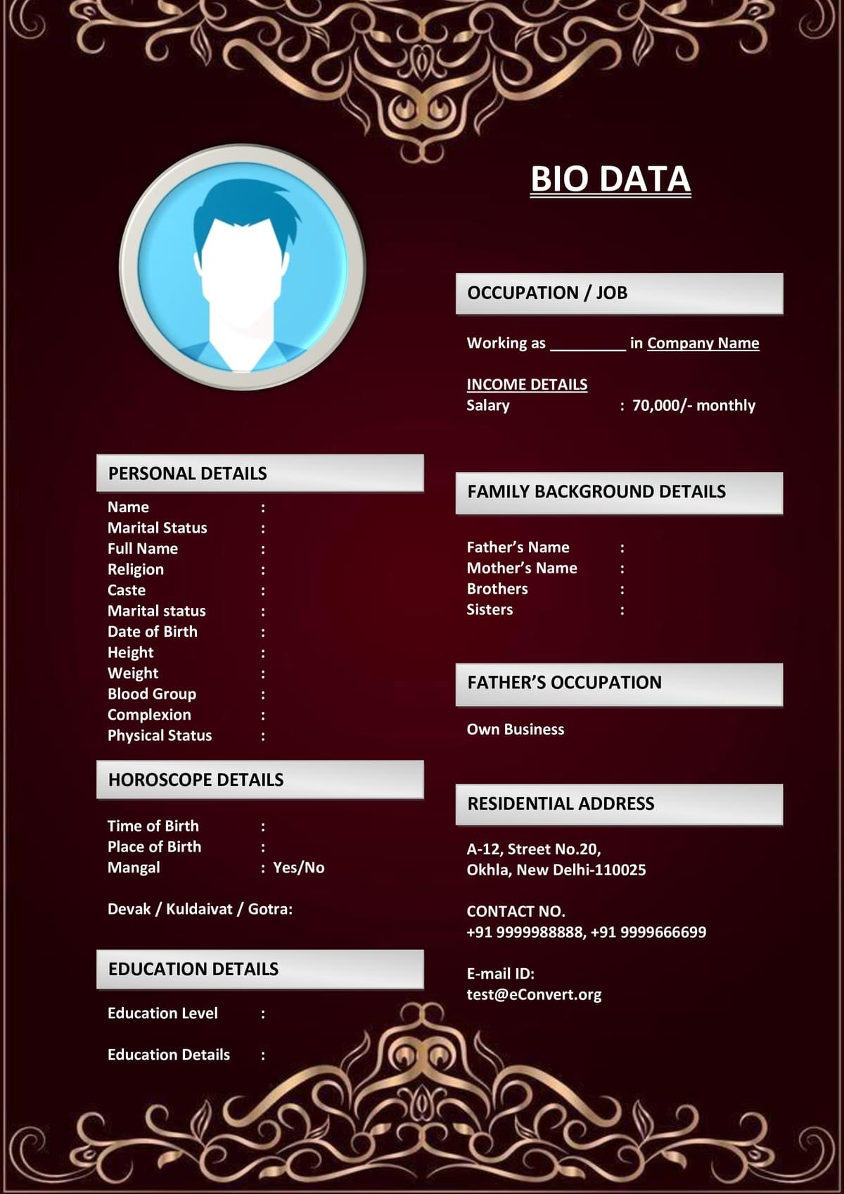 Free Modern Marriage Biodata in Word Format