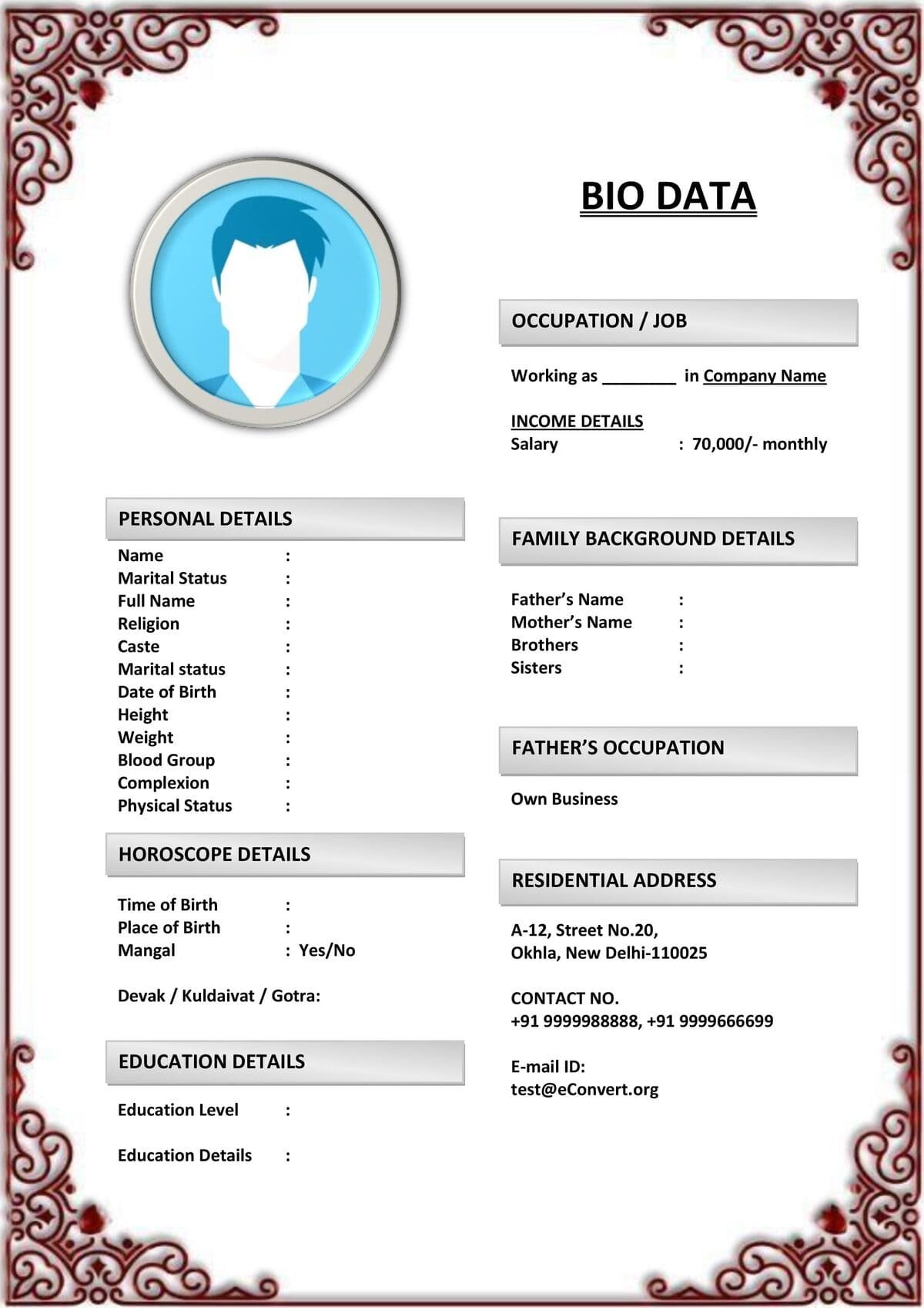 Groom Biodata in Bold Header Format