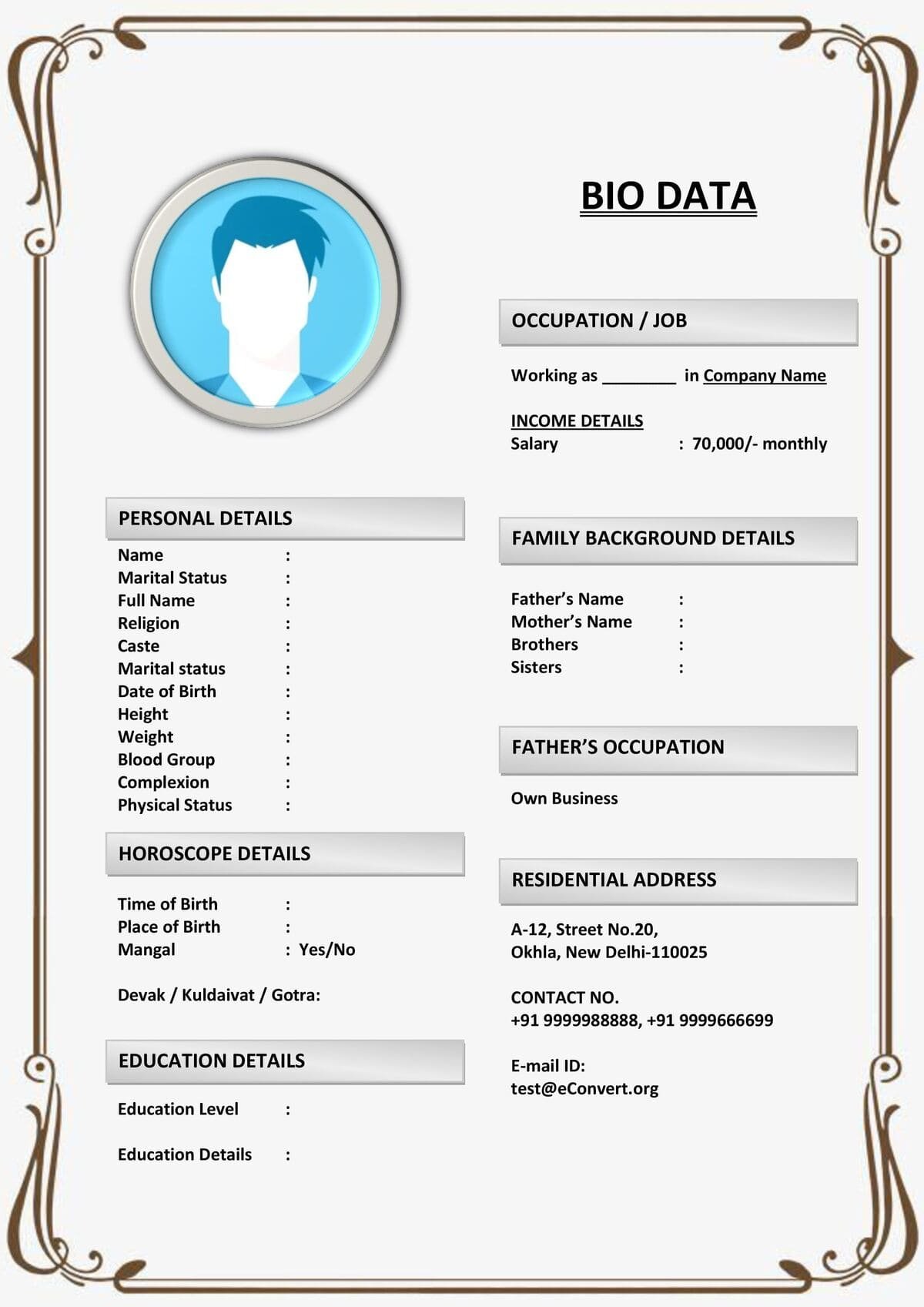 Marriage Biodata Doc for Working Professionals