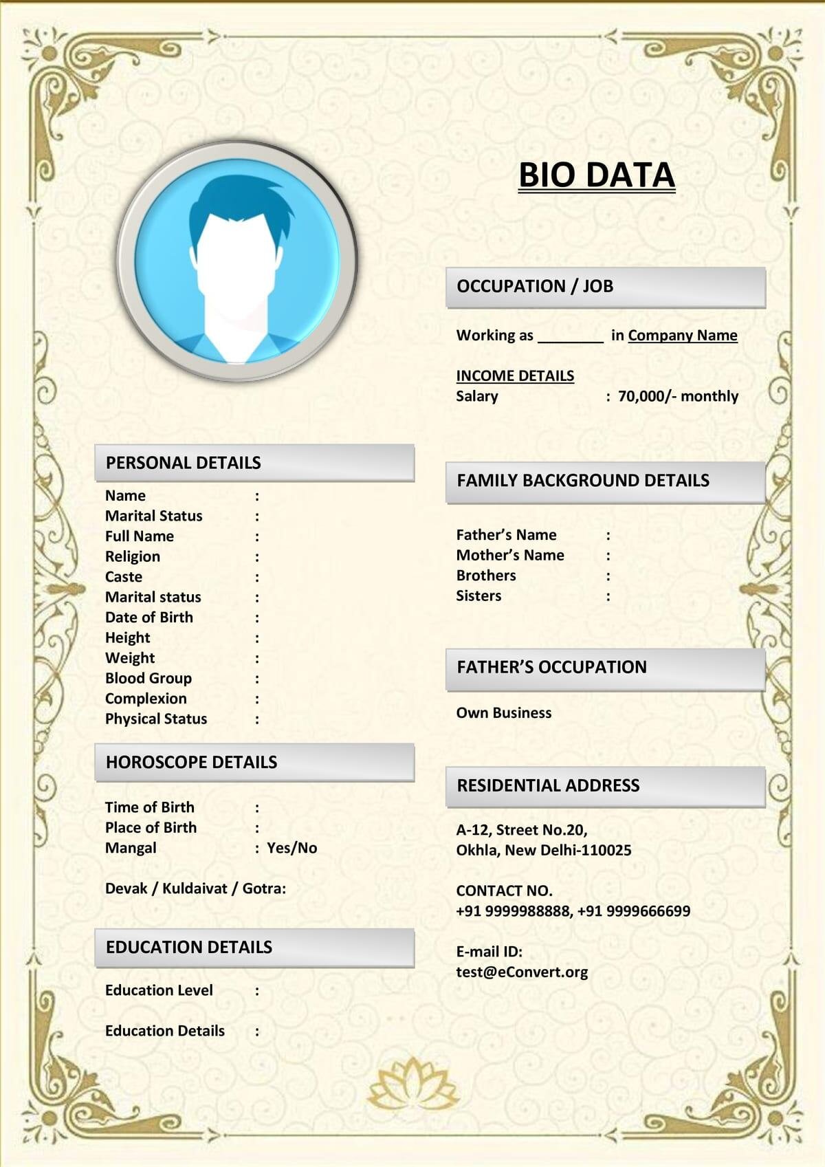 Matrimonial Word Doc with Career Summary
