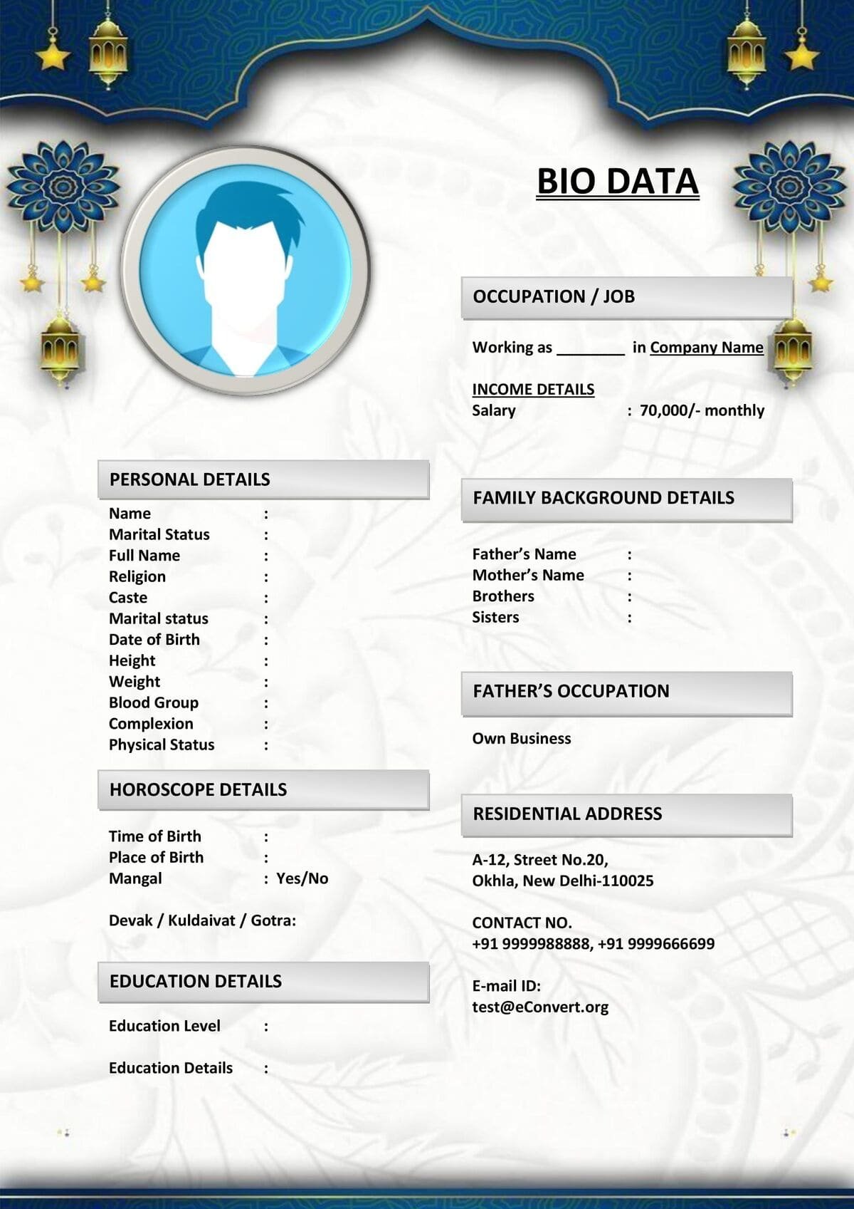 Modern Biodata with Professional Design in Docx