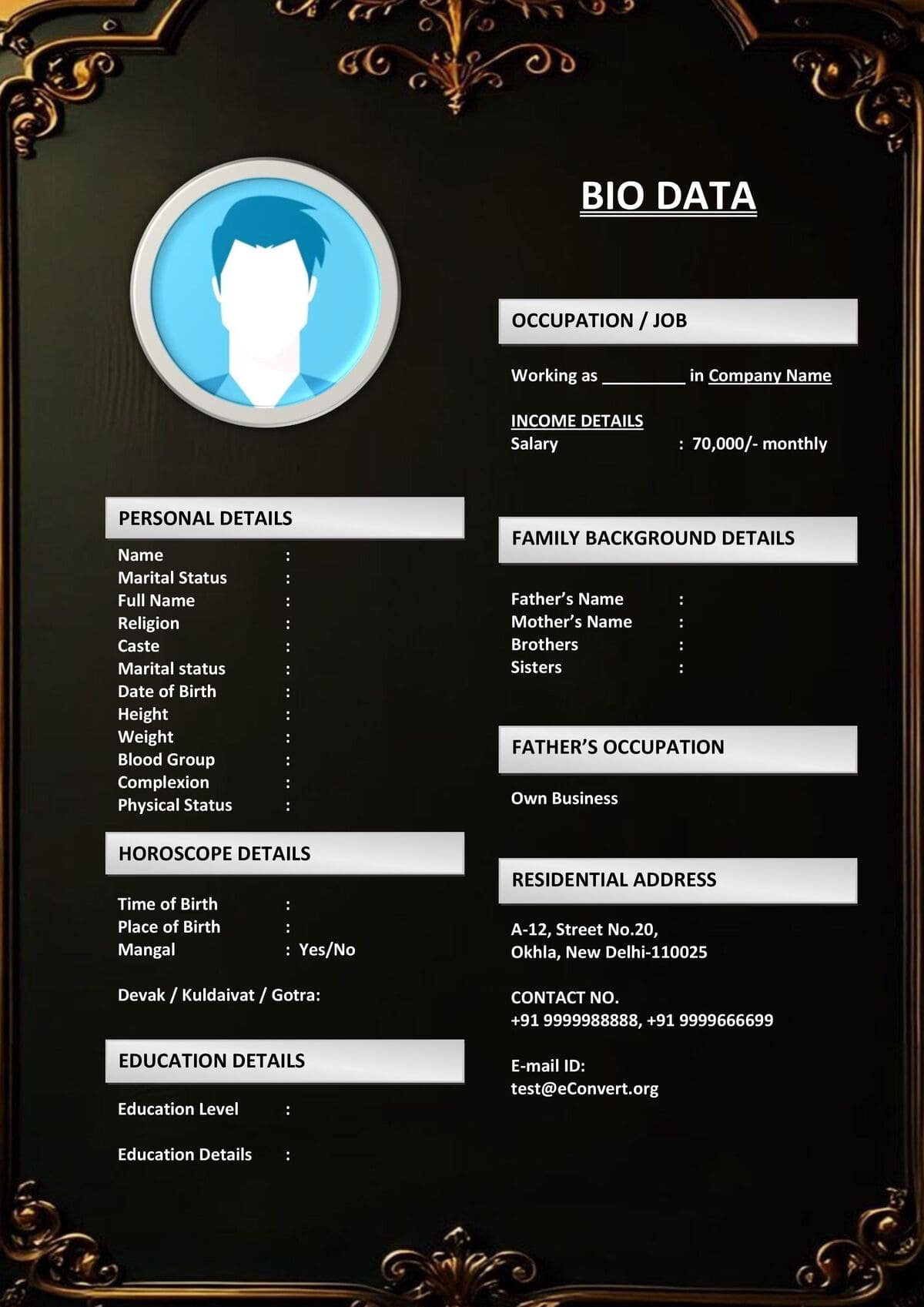 Muslim Groom Resume with Lifestyle Section for Marriage