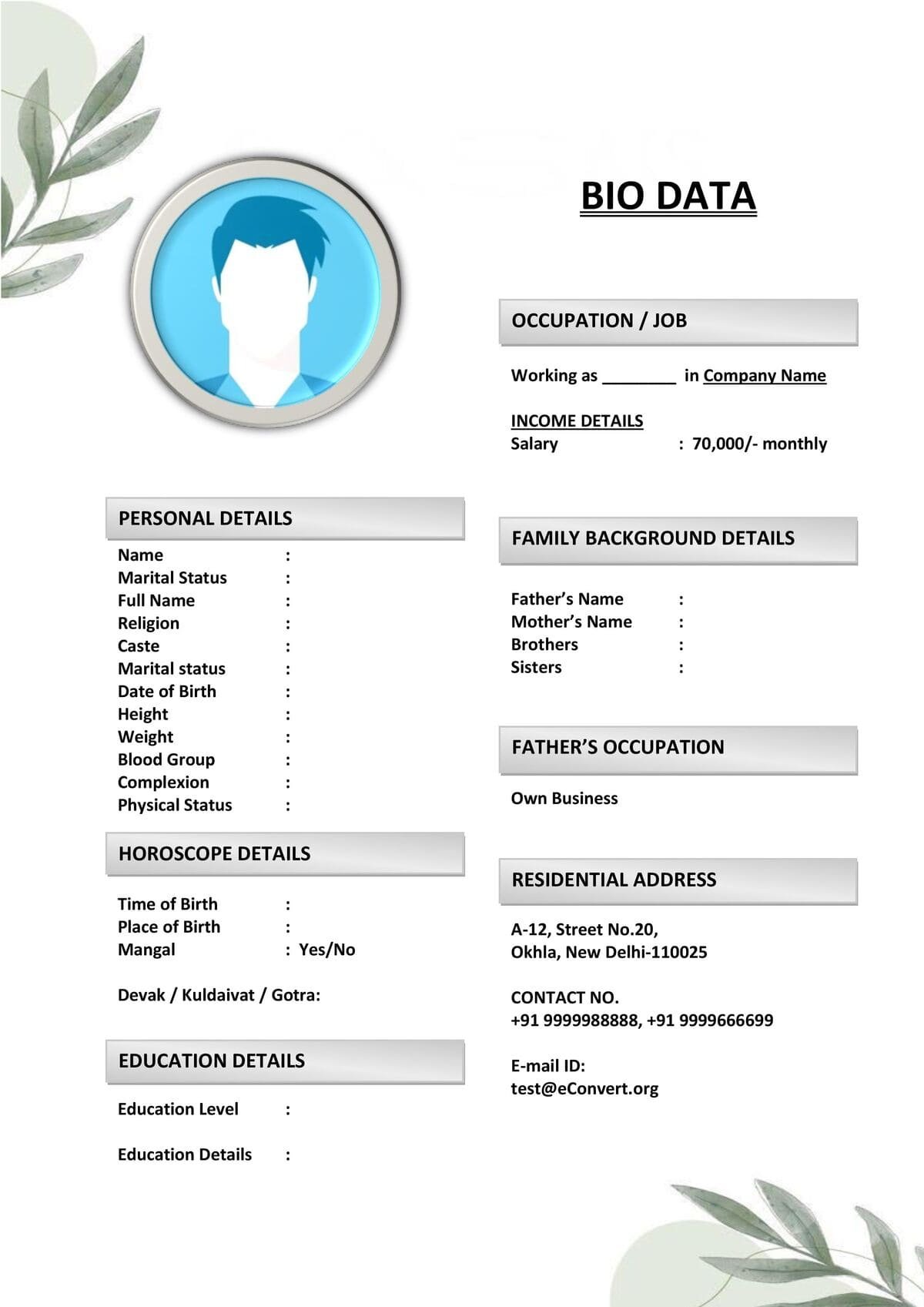 North Indian Groom Marriage Biodata Format
