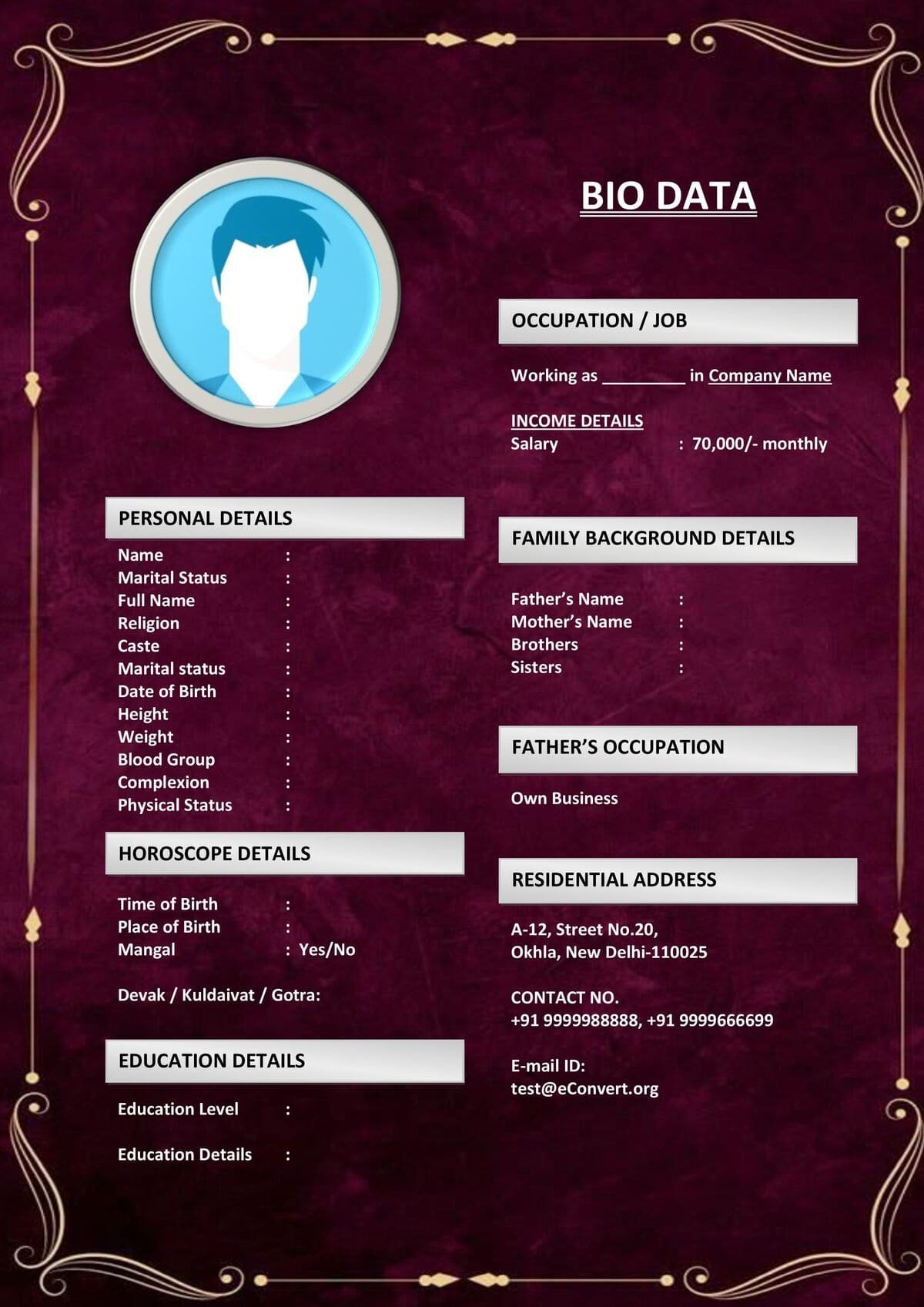 Professional Groom Bio with Job & Income Fields for Marriage