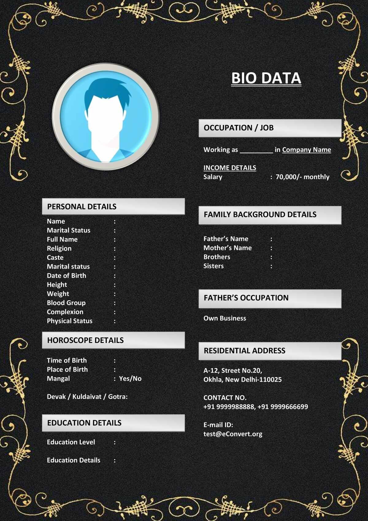 Punjabi Marriage Biodata Template for Male