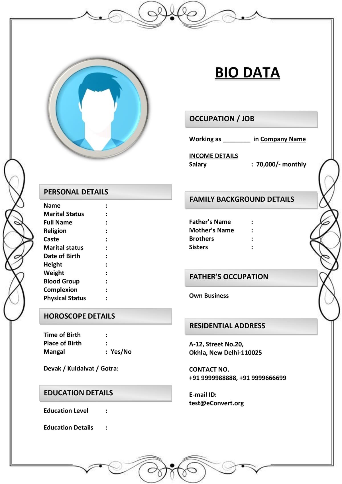 Smart Marriage Bio with Work Experience Section