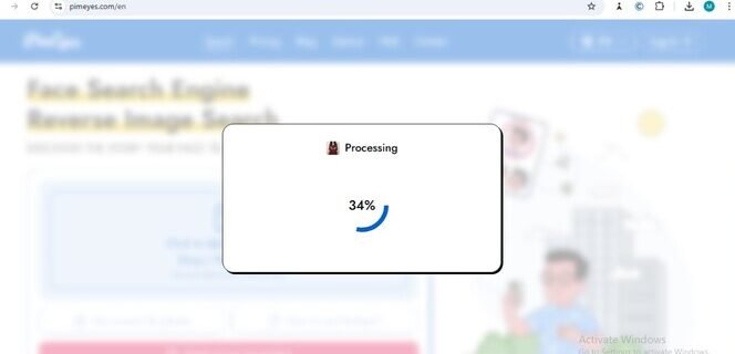 PimEyes search engine