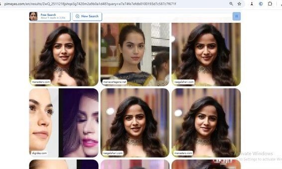 PimEyes search result