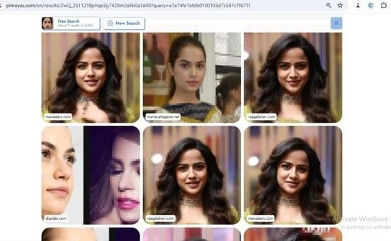 PimEyes search result