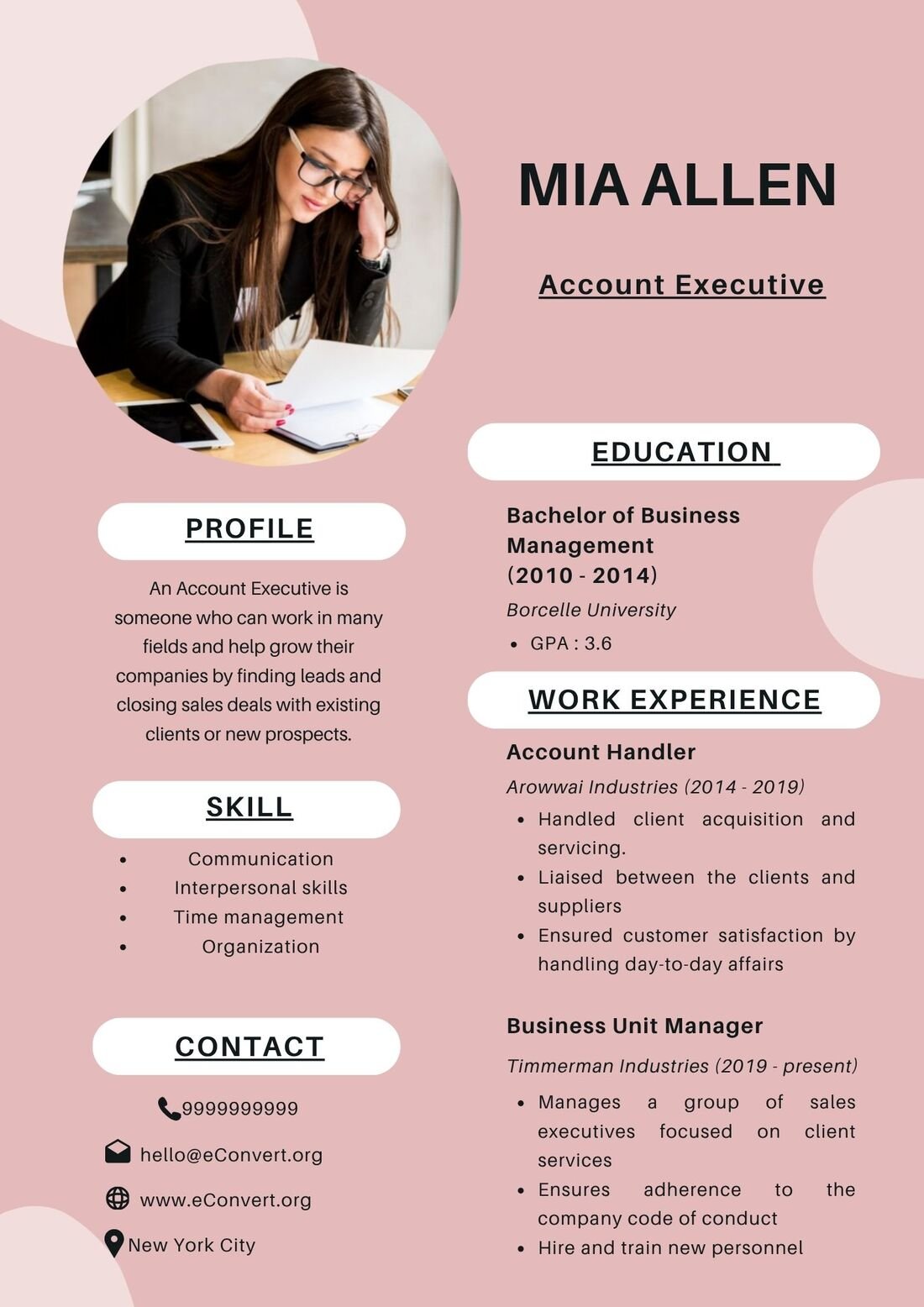 Account Executive Resume
