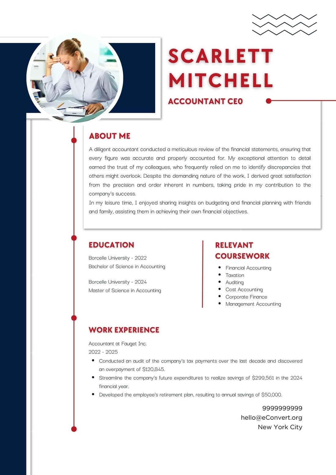 Accountant ceo Resume