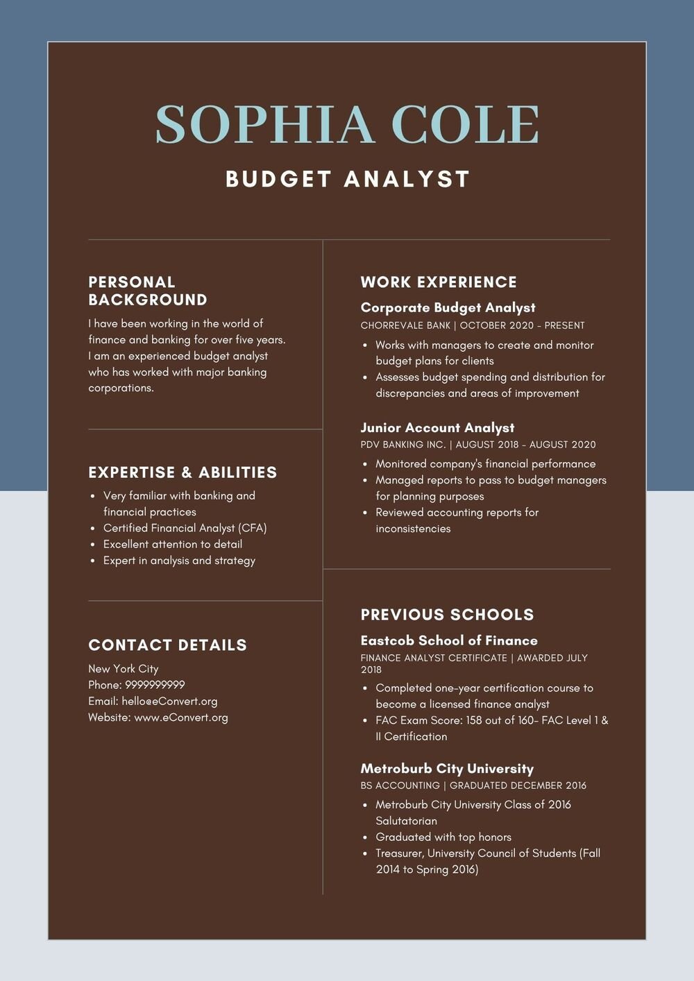 Budget Analyst Resume