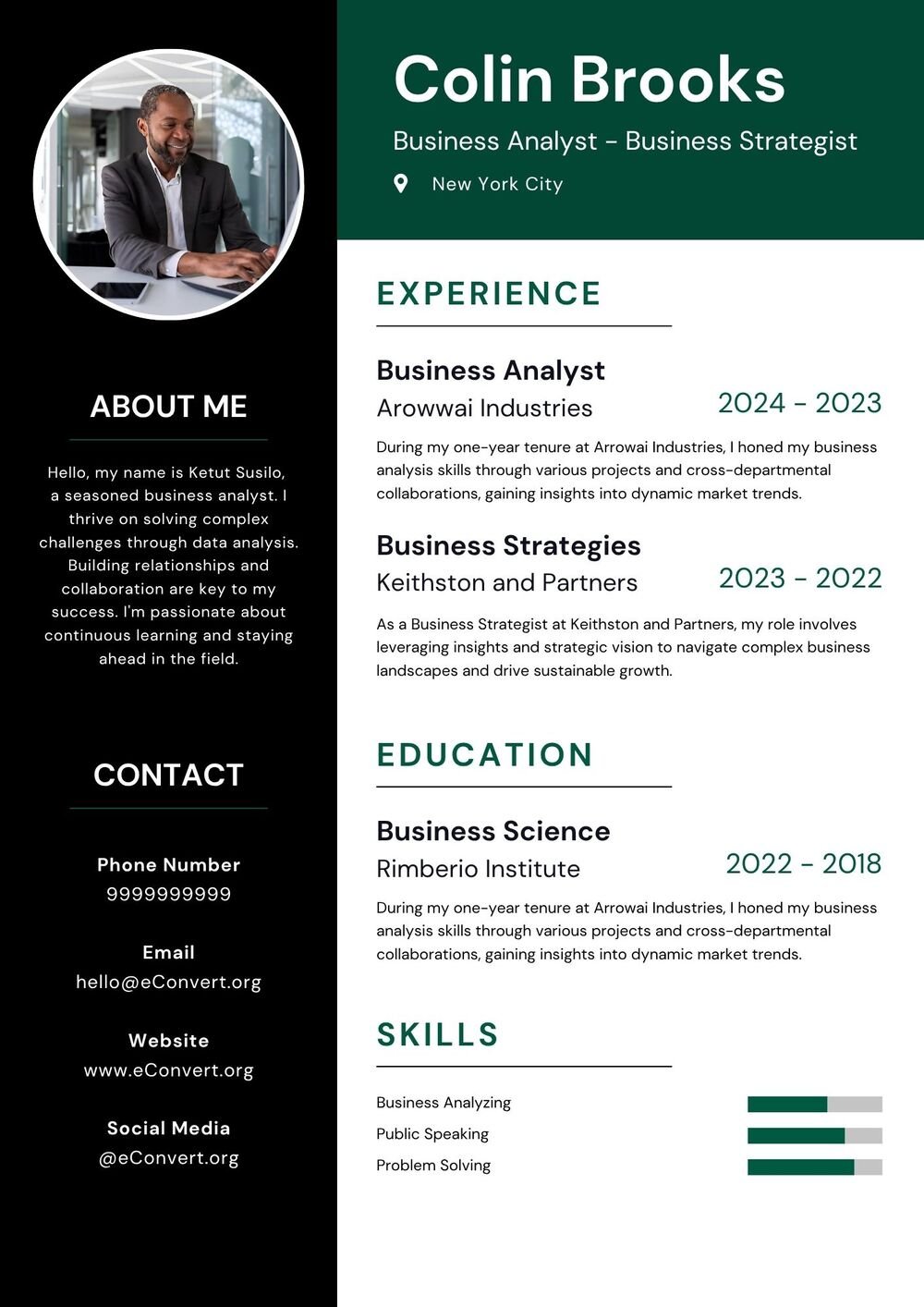 Business Analyst - Business Strategist Resume