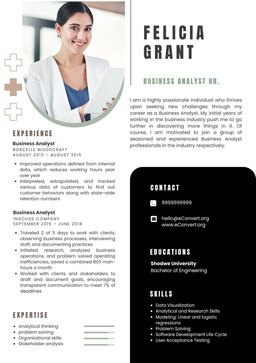 Business Analyst Hr. Resume