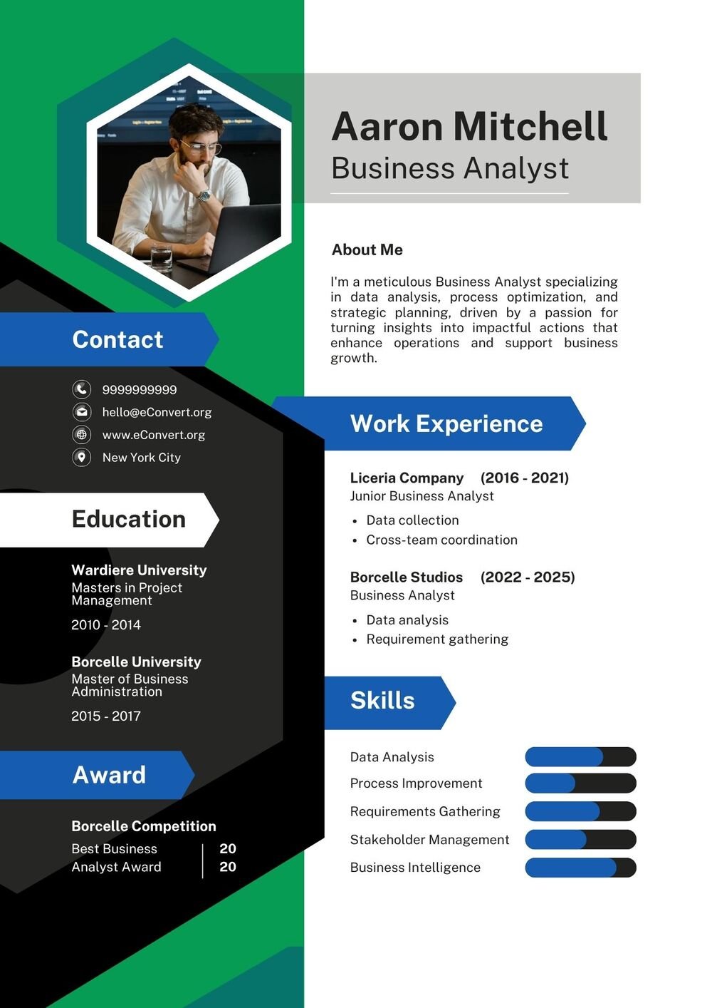 Business Analyst Resume