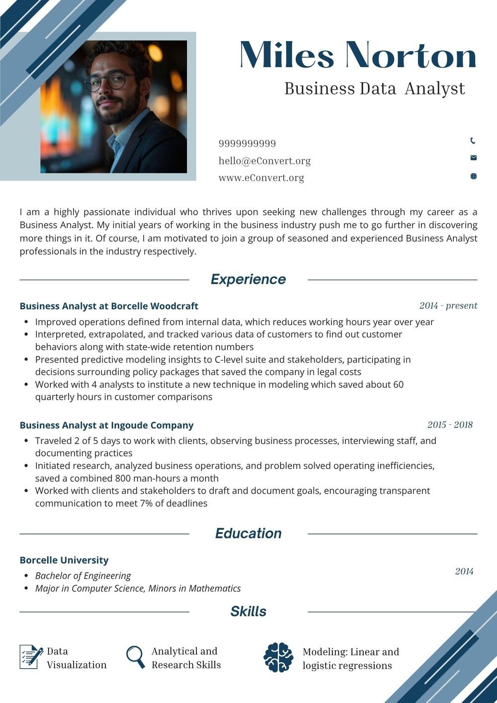 Business Data Analyst Resume