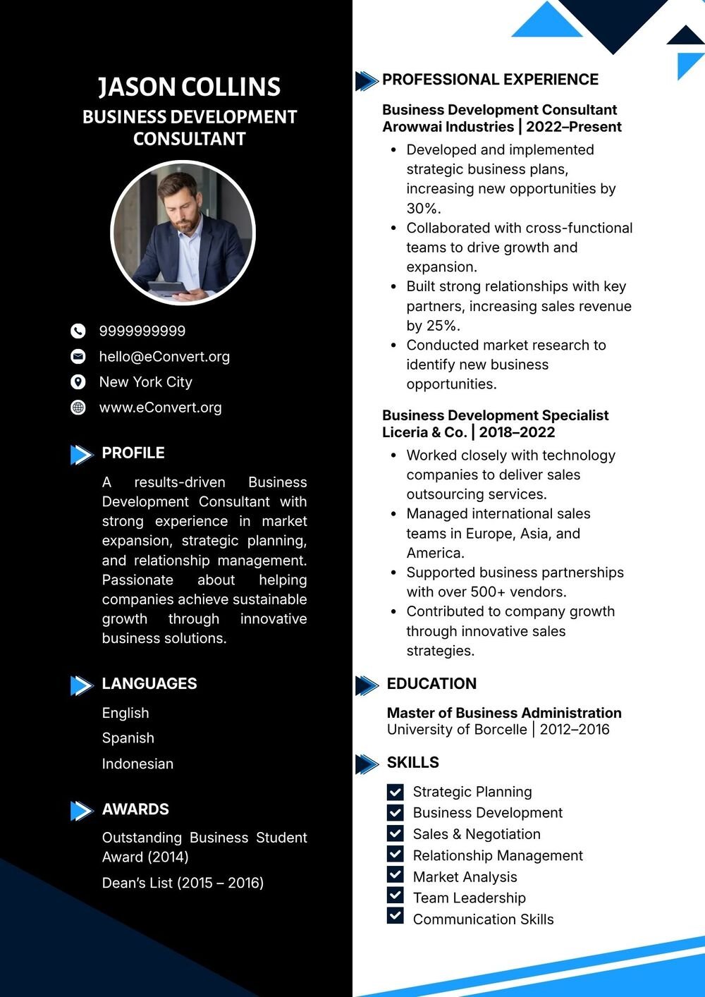 Business Development Consultant Resume