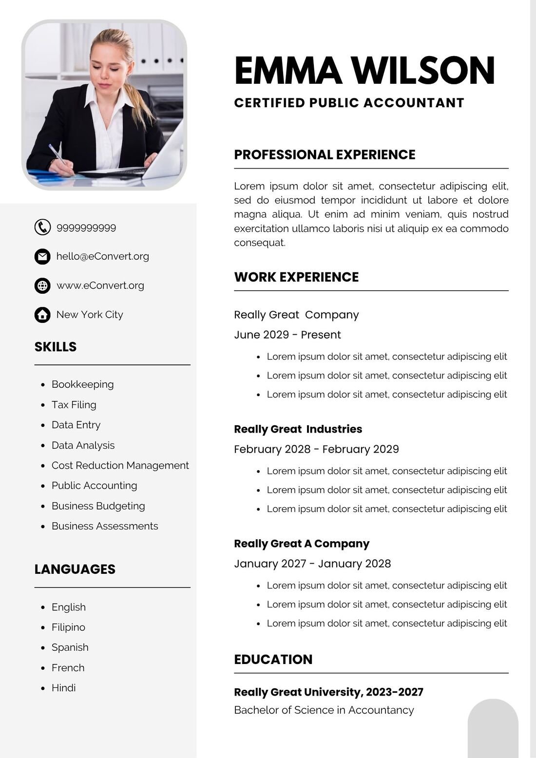 Certifeid Public Accountant Resume