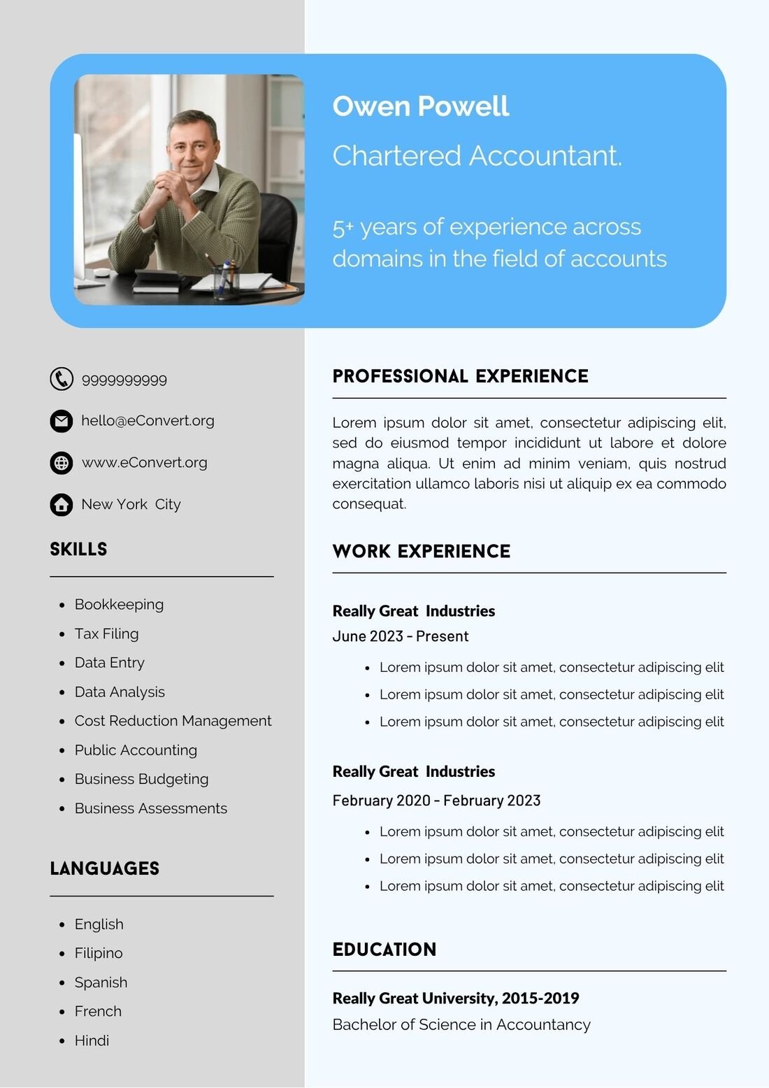 Chartered Accountant Resume