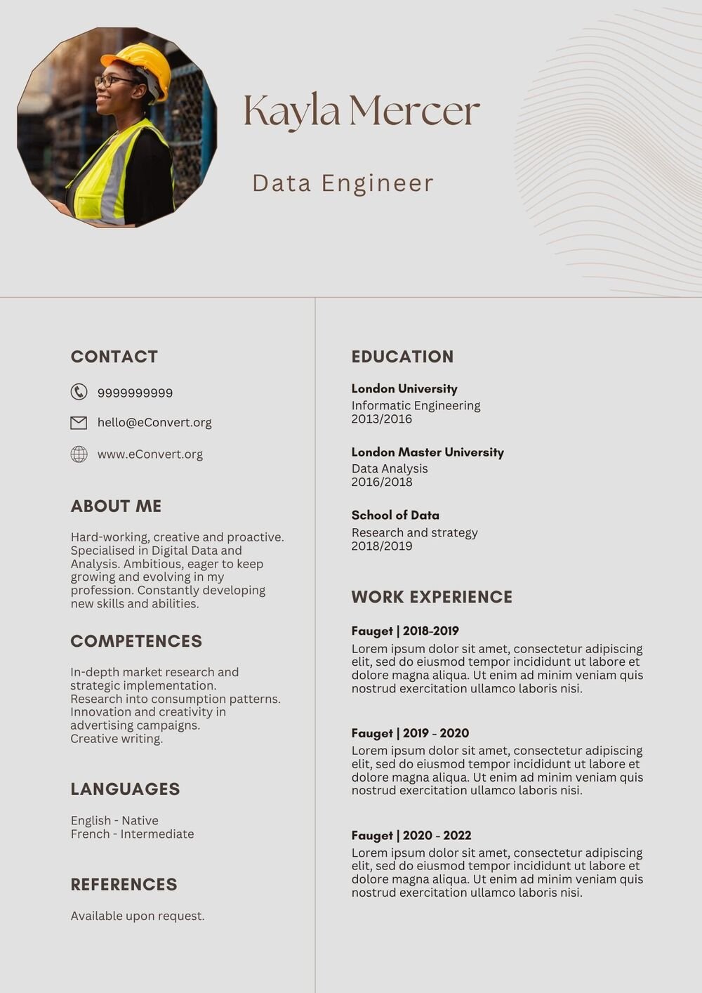Data Engineer Resume