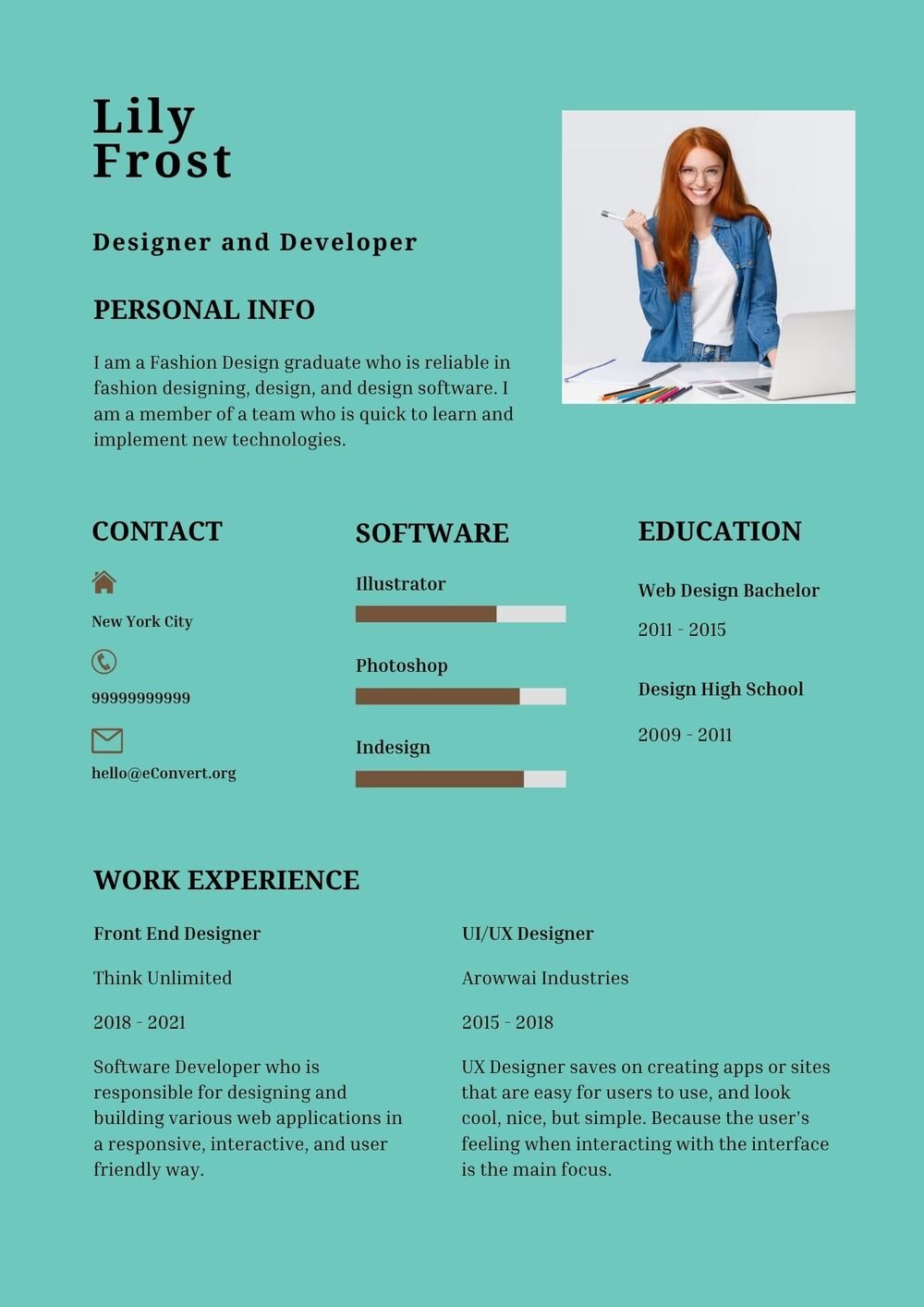 Designer and Developer Resume