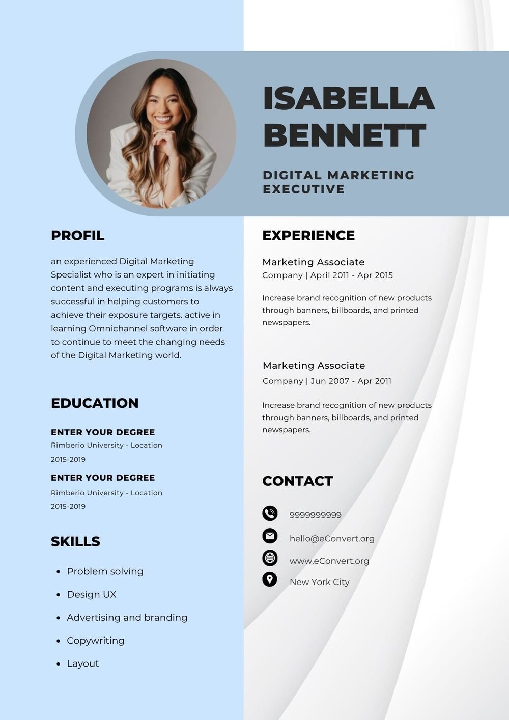 Digital Marketing Executive Resume