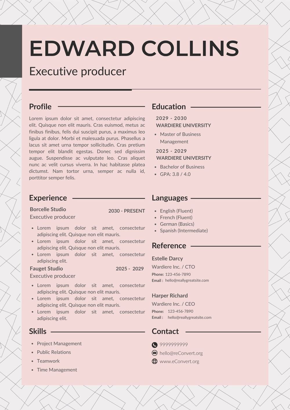 Executive producer Resume