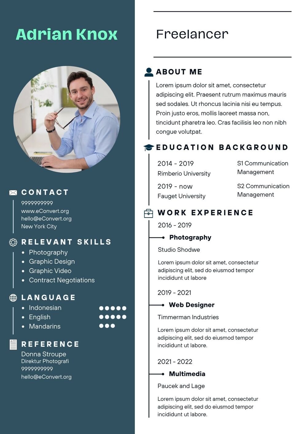 Freelancer Resume