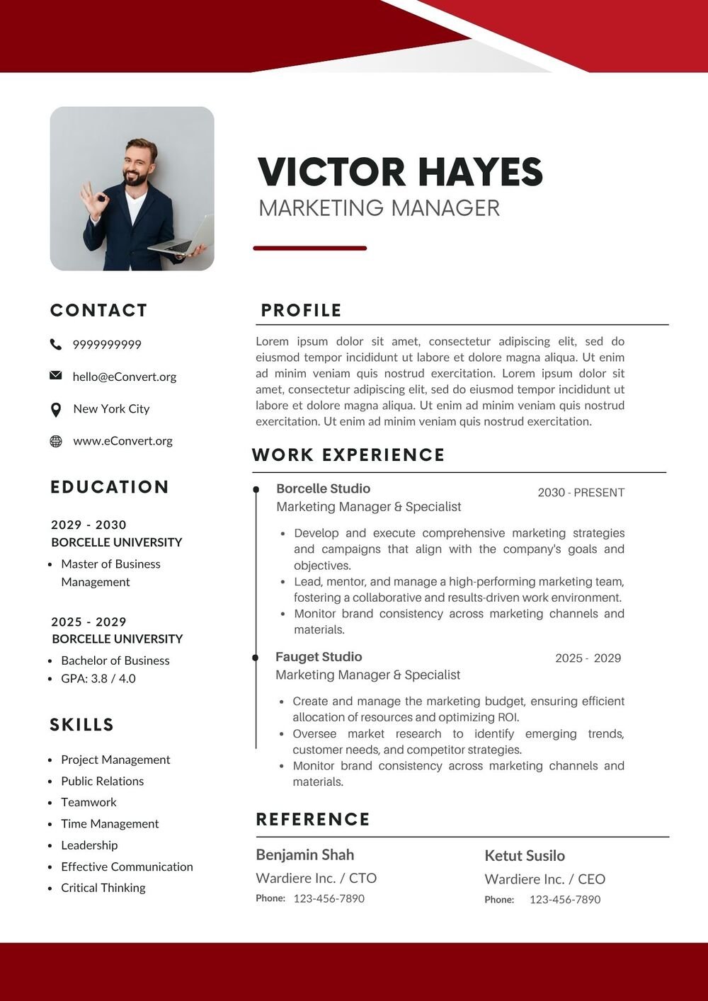 Marketing Manager Resume CV