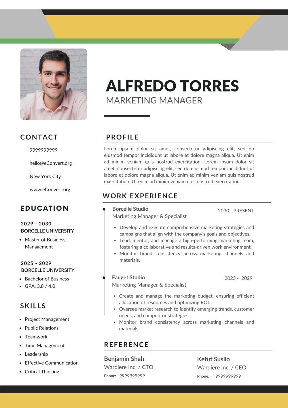 Marketing Manager Resume CV Download