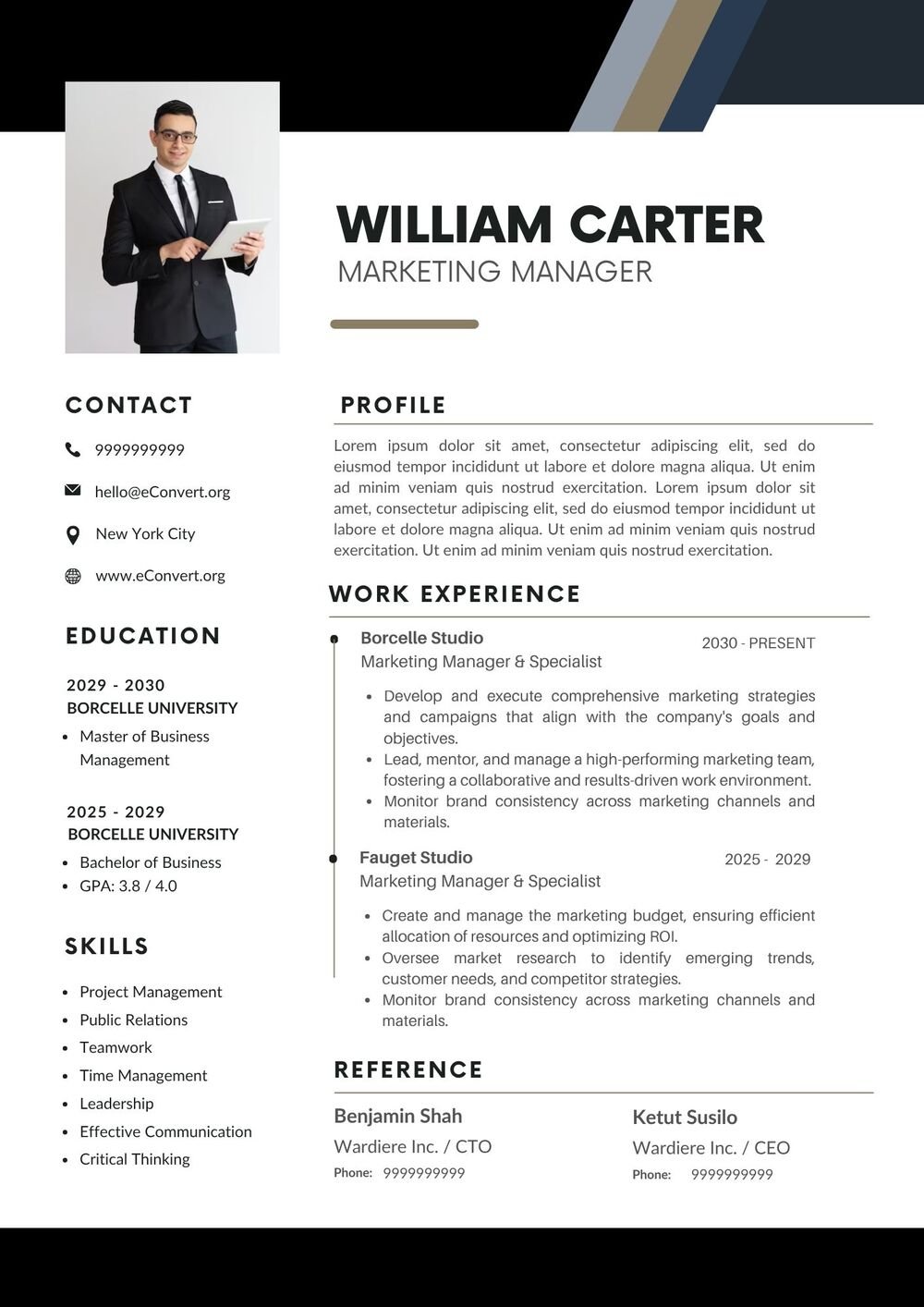 Marketing Manager Resume Download