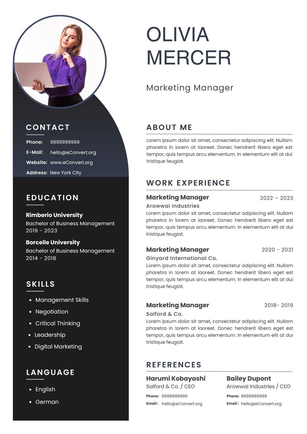 Marketing Manager Resume professional
