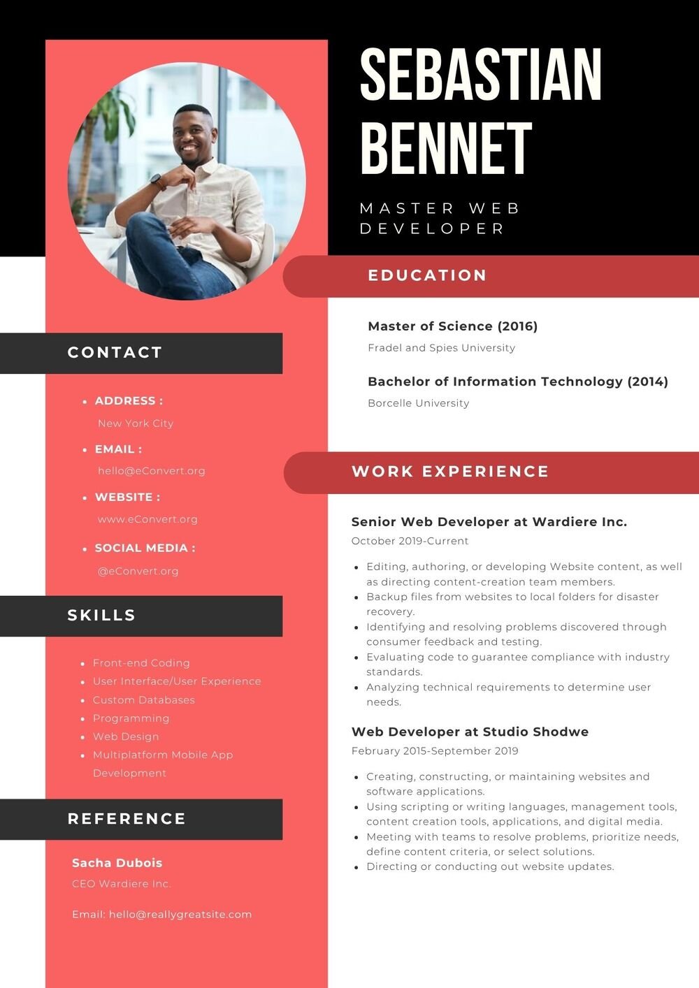 Master Web Developer Resume