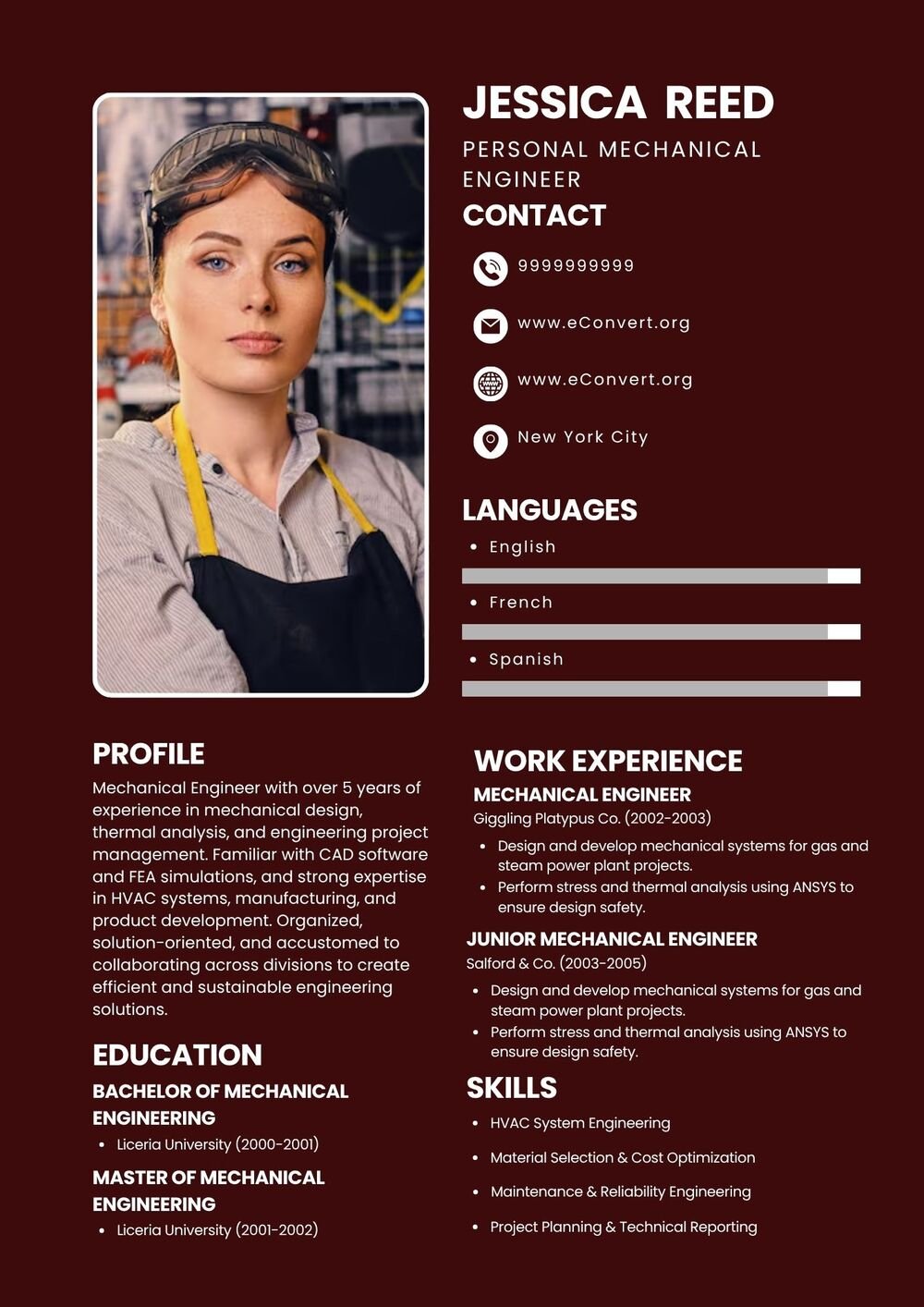 Personal Mechanical Engineer Resume