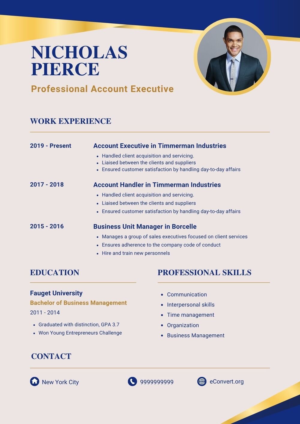 Professional Account Executive Resume