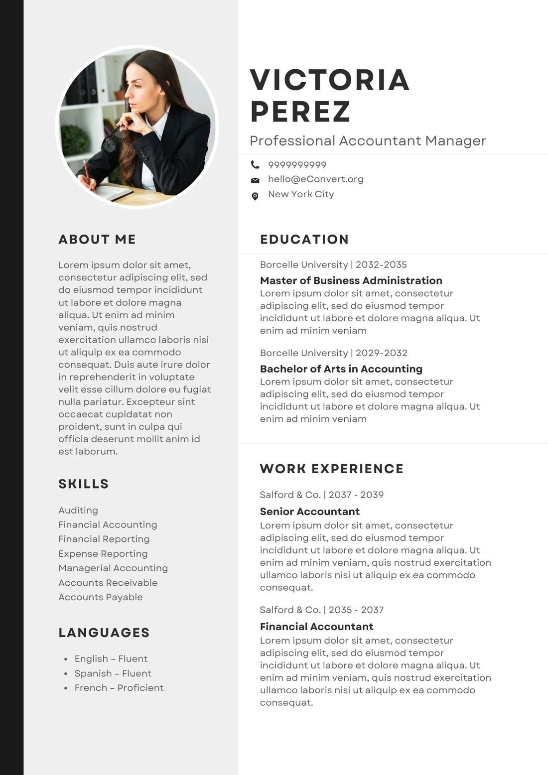 Professional Accountant Manager Resume