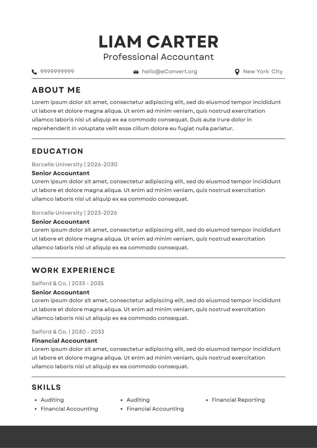 Professional Accountant Resume