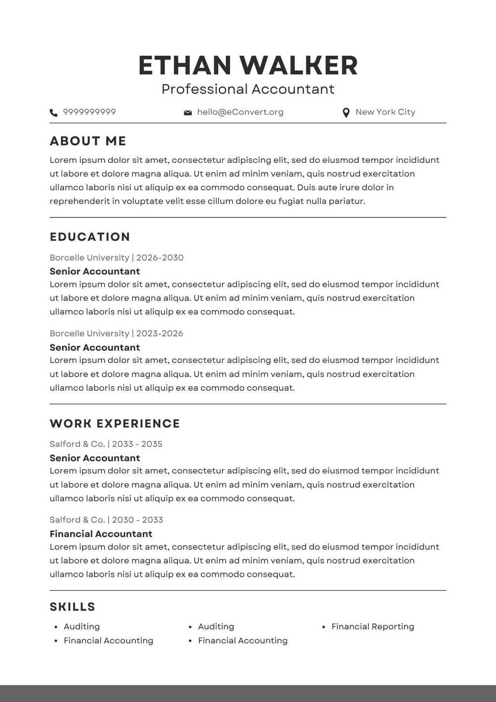 Professional Accountant Resume