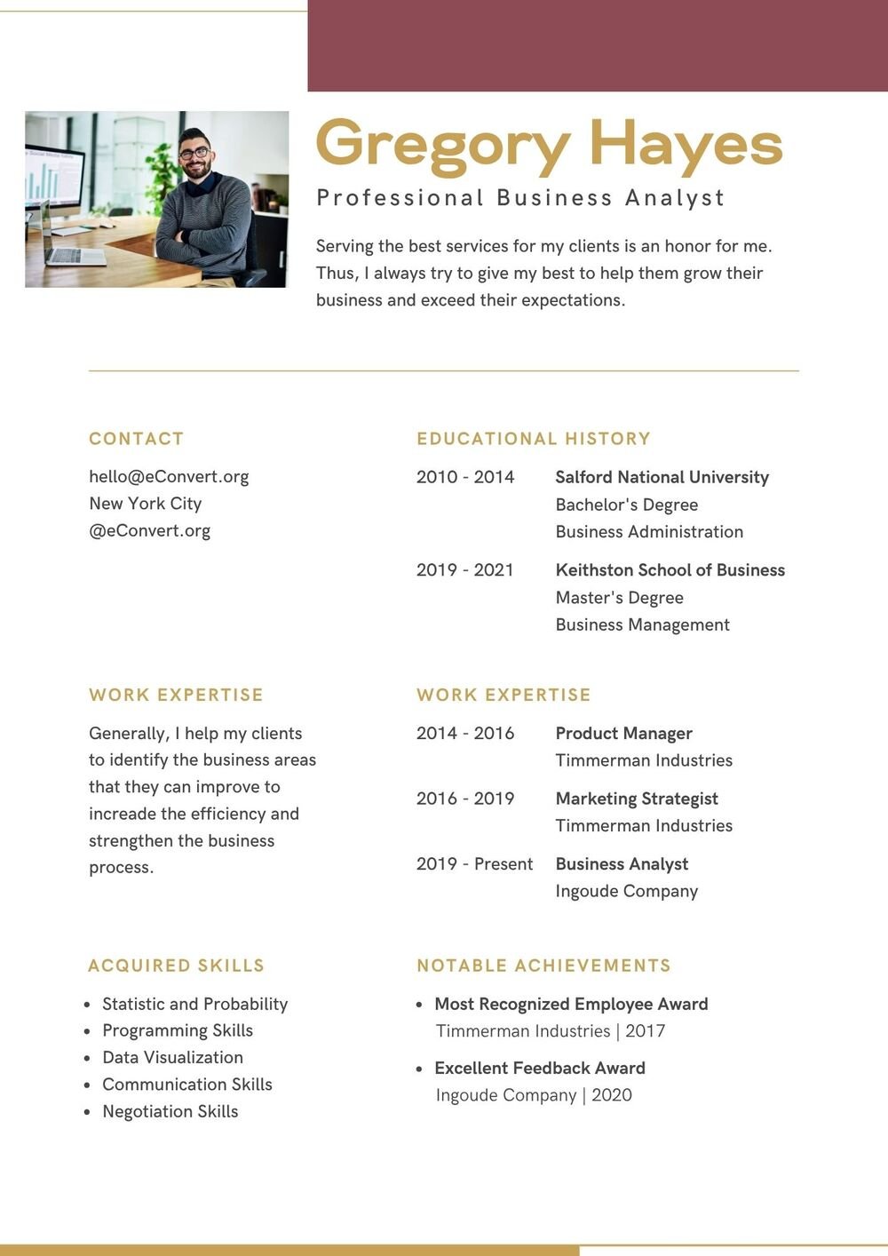 Professional Business Analyst Resume