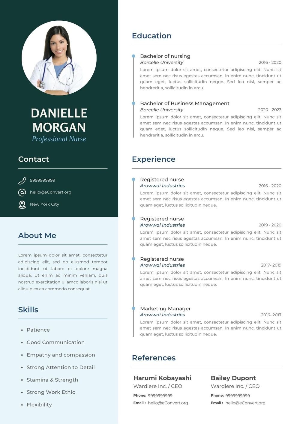 Professional Nurse Resume