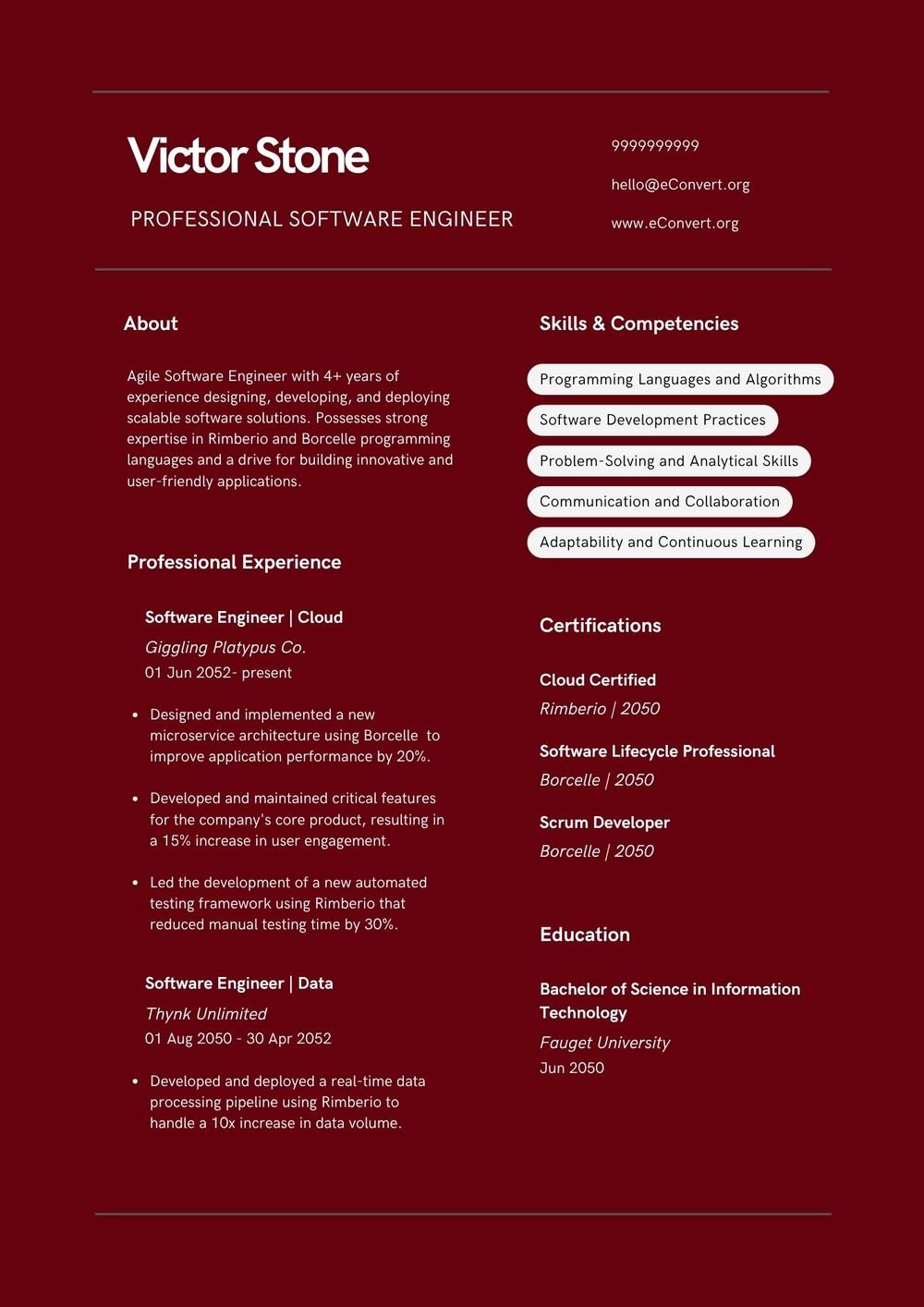Professional Software Engineer Resume