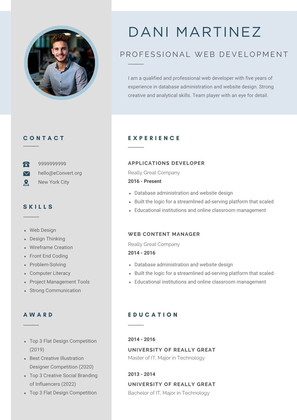 Professional Web Development Resume