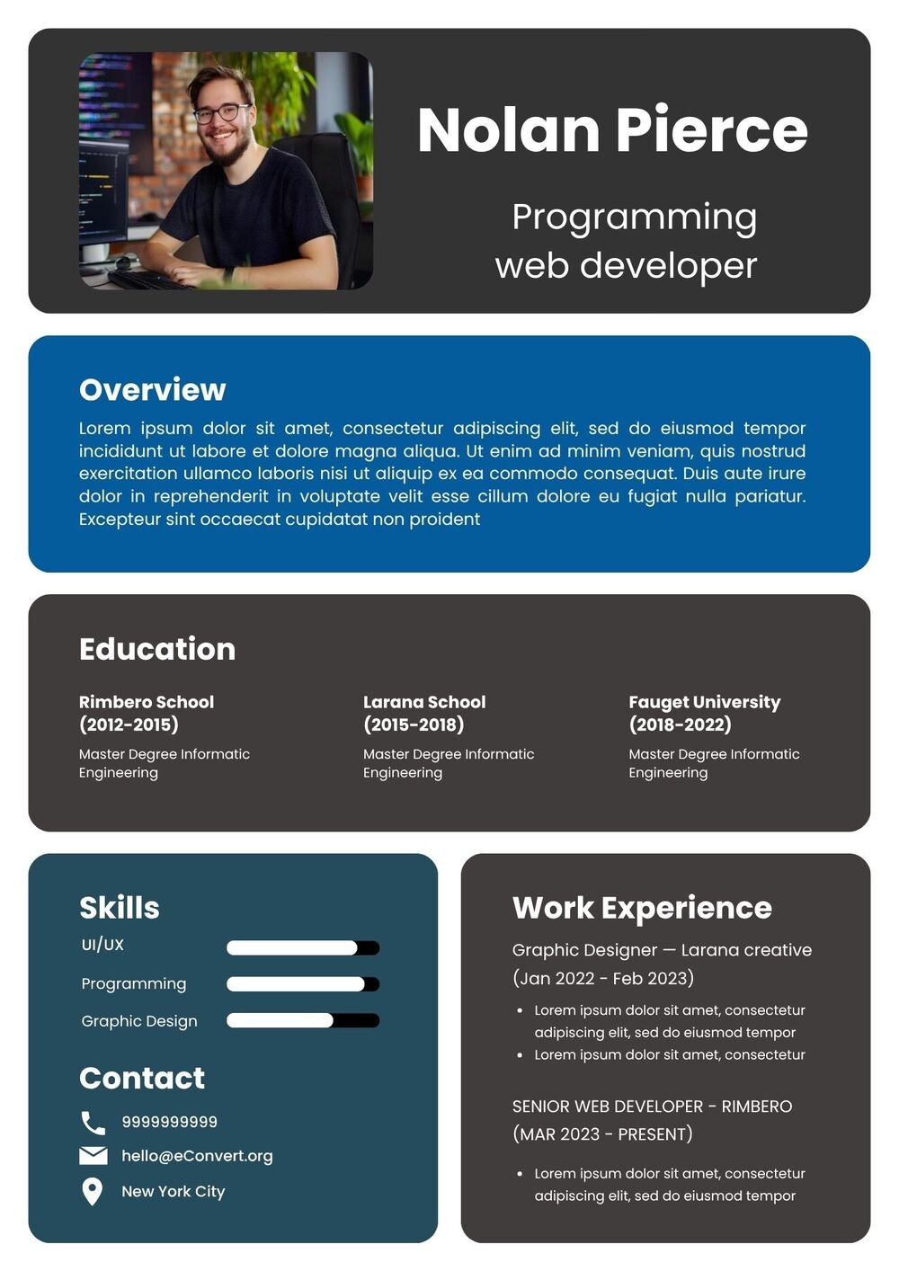 Programming Web Developer Resume