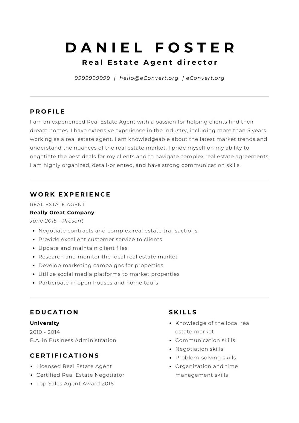 Real Estate Agent director Resume
