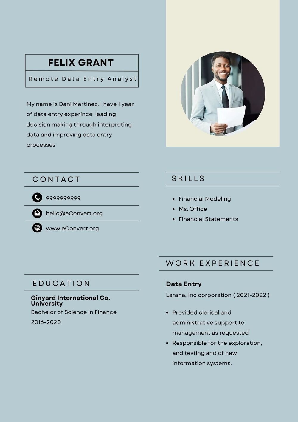 Remote Data Entry Analyst Resume